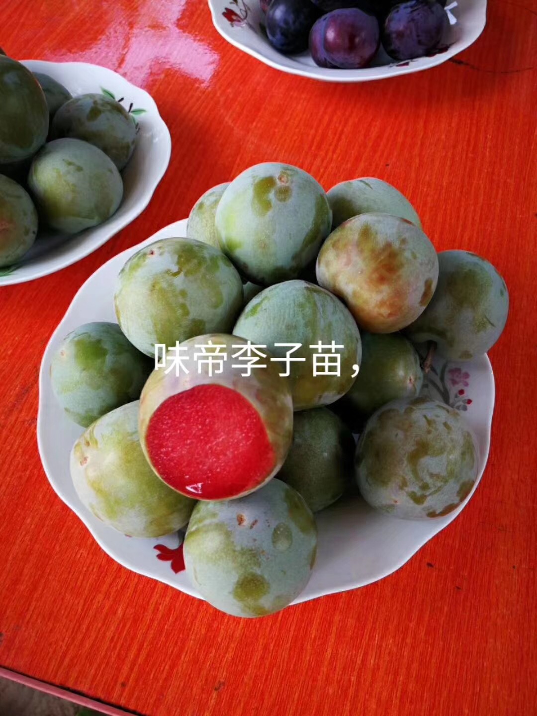 味帝李子苗厂家销售