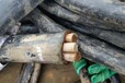 （亳州电缆回收）-亳州废旧电缆回收每天更新