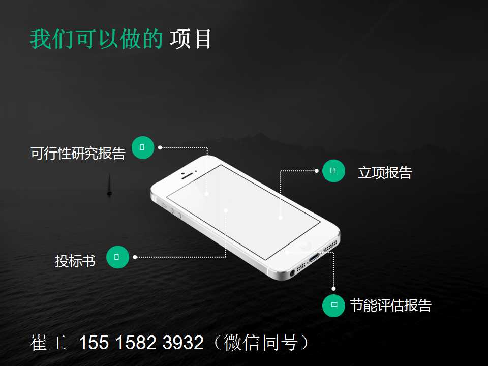 铁岭西丰项目可行性研究报告范文（批复）