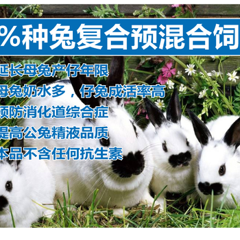母兔种兔4%复合预混料（绿色防霉除霉型）-种兔旺，兔仔好不好的决定因素