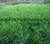 九江南昌地区林木种子生产经营许可证办理电话