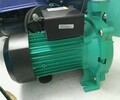 威樂水泵威樂增壓威樂泵循環泵離心泵PUN-600EH/601EH