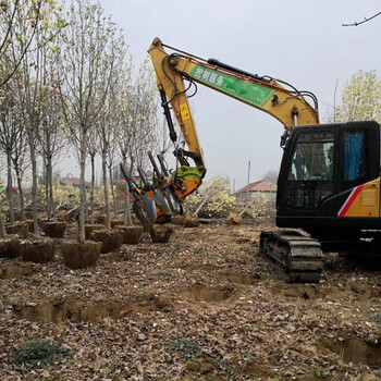 滑移装载机带60土球抱树机山东宇德自销自产苗圃移植机现货