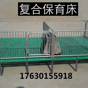 复合保育床图片/小猪用保育床活动床/仔猪双体保育床尺寸