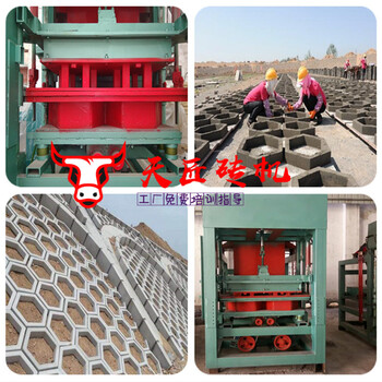 郑州6-15制砖机生产线，天匠免烧水泥空心护坡砖机面包透水砖机