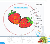 Fresh+草莓气调保鲜包装保鲜实验32天