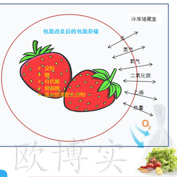 Fresh+草莓气调保鲜包装保鲜实验32天