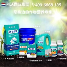 韭菜怎么才能长势旺叶片肥厚无干尖,试试诺普琳叶菜专用叶面肥图片