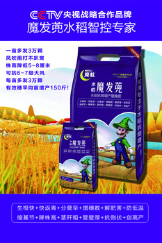 魔發(fā)兜魔發(fā)兜專(zhuān)注于水稻抗倒增產(chǎn)！