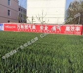 信阳手绘墙体广告信阳酒类墙面写广告信阳青稞酒手绘墙体广告