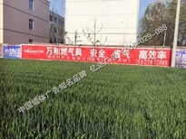 安阳墙体广告用我的细心专心给予你舒心省心安阳墙体标语图片1