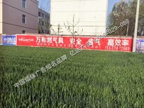 江北墙体广告供应商江北乡村标语亿达广告图片1