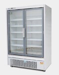 凯雪玻璃门冷冻柜JXC-CVHDL3三玻璃门整机冷冻展示柜便利店饮料陈列柜