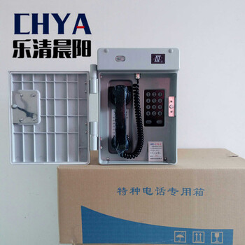 云南水电站用壁挂电话机HAT86特种防护电话