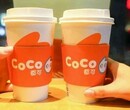 详细了解coco奶茶，五点分析给你答案图片