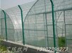 绿化铁丝护栏网、北京绿化护栏厂家、绿化护栏专业高度