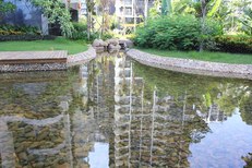 百色杰蒙尼鱼池过滤器别墅景观鱼池水处理图片2