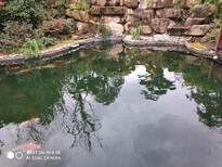 武汉杰蒙尼鱼池过滤器酒店观赏鱼池水过滤图片1