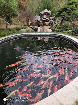武汉杰蒙尼鱼池过滤器酒店观赏鱼池水过滤