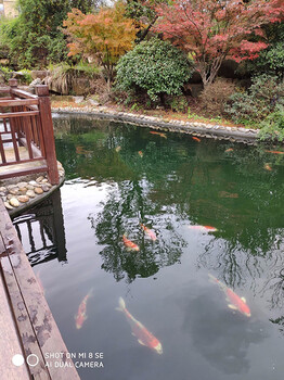葫芦岛杰蒙尼鱼池过滤器别墅景观鱼池水处理