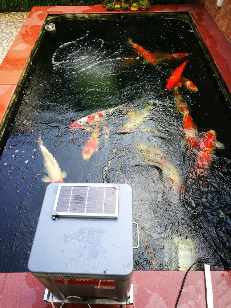 衡陽杰蒙尼觀賞魚池過濾系統			