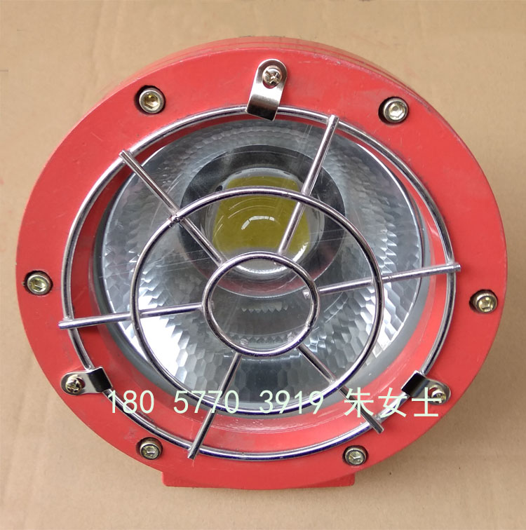 DGS20/127L(A)矿用隔爆型LED投光灯，20W矿用LED防爆投光灯