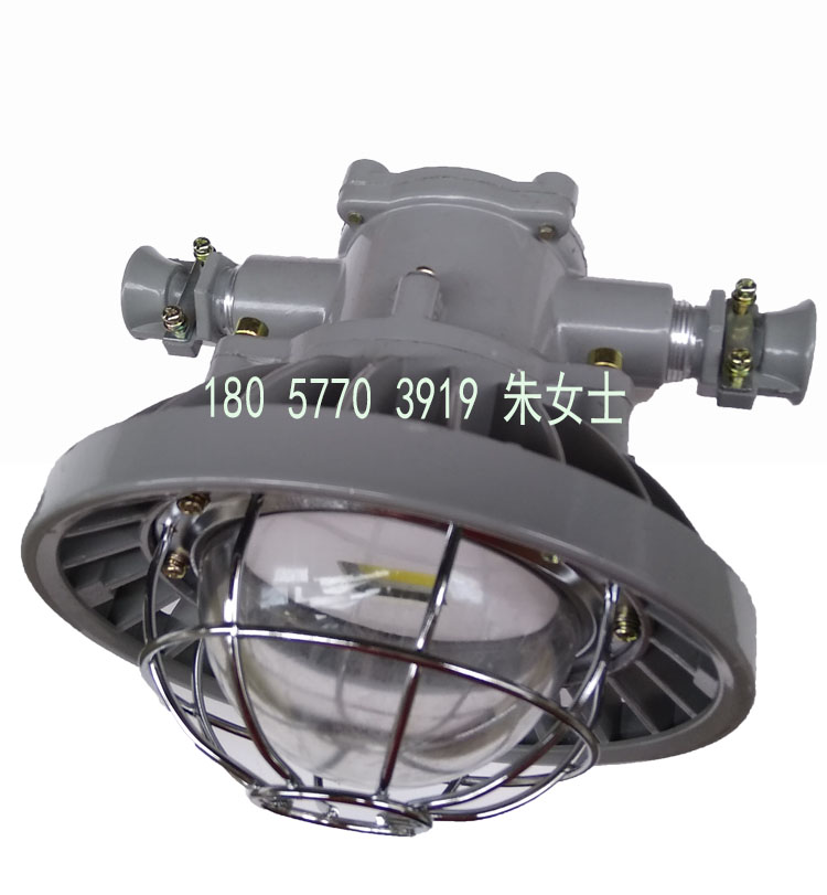 DGS36/127L矿用隔爆型LED巷道灯36W照明灯