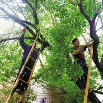 花东镇：花都建筑垃圾工业垃圾清运公司