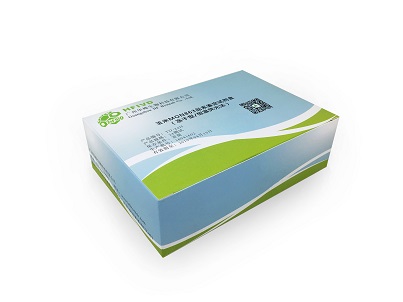 副溶血性弧菌核酸检测试剂盒（冻干型／恒温荧光法）