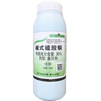 堿式硫酸銅葉果病害殺菌劑草莓育苗匍匐莖變黑預(yù)防土壤殺菌敵克松