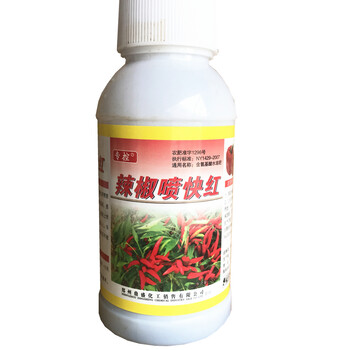 辣椒紅的快辣椒催紅劑不含激素辣椒不軟皮不畸形朝天椒尖椒