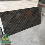 星冠木业木质建筑模板覆膜模板不翘曲不变形耐水性能好图片5