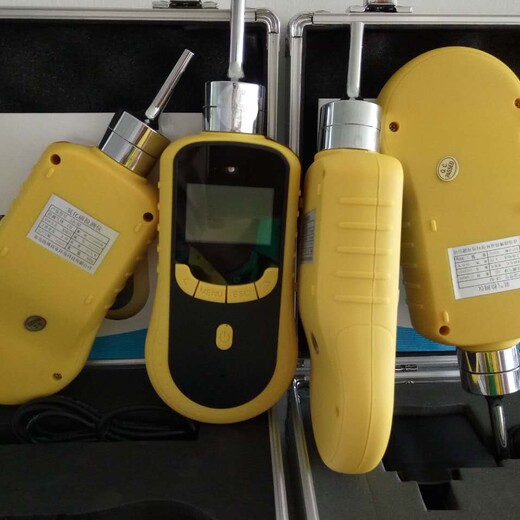 重庆LB-BX泵吸式单一气体检测仪