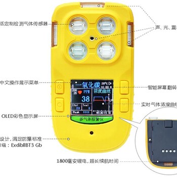 南京LB-FQ便携式多气体检测报警仪