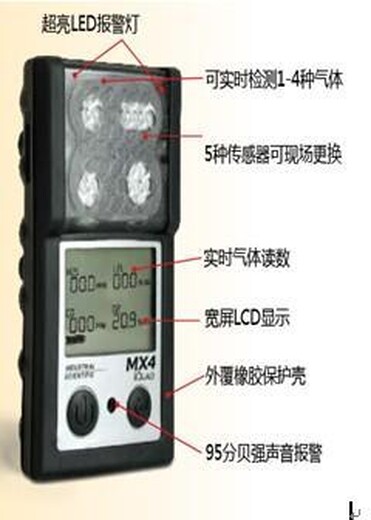 河北邯郸市美国英思科GasBadge®Plus单气体检测仪可佩戴于衣服口袋和安全帽上