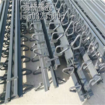 云陽縣RG型鋼橋梁伸縮縫價格更新