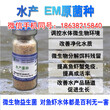 EM菌水产菌种用在水产业肥水方面能起到什么好处图片