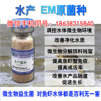 EM菌水产菌种用在水产业肥水方面能起到什么好处