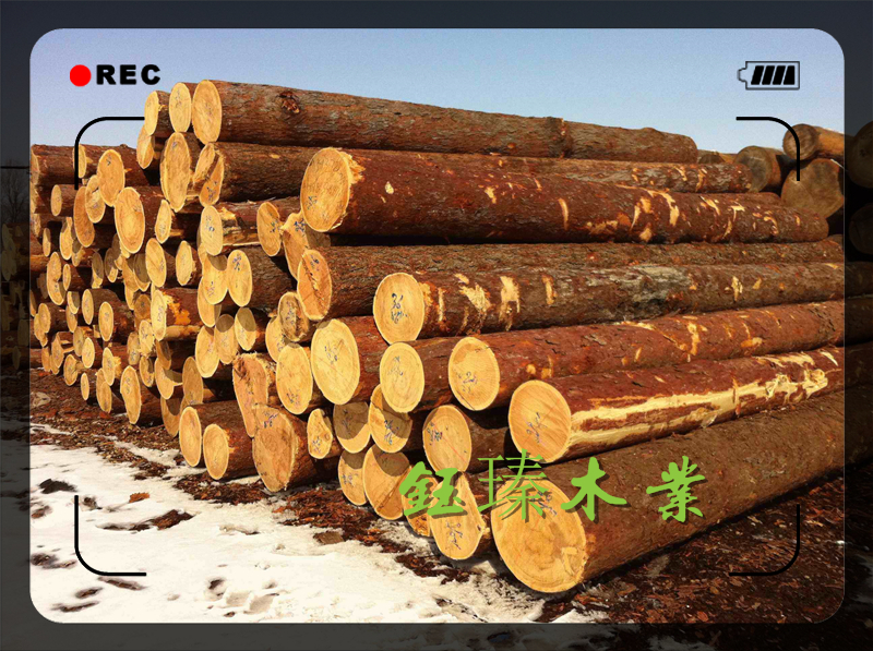 赤峰樟松木方木材板材方木加工厂家