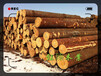东北木制托盘木材板材方木批发市场
