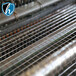 养殖电焊网、j建筑电焊网、装饰网、焊接网
