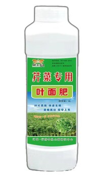 芹菜叶面肥叶绿茎粗