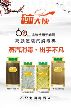 碗大俠高溫蒸汽消毒機(jī)