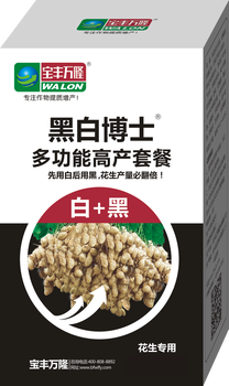 矮豐寶，寶豐萬隆
