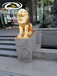 酒店大门口铜狮铸铜狮子雕塑金箔狮子雕塑神兽造型门口摆件