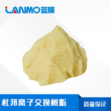 杜邦AmberLite™IRA910Cl树脂的预处理方法