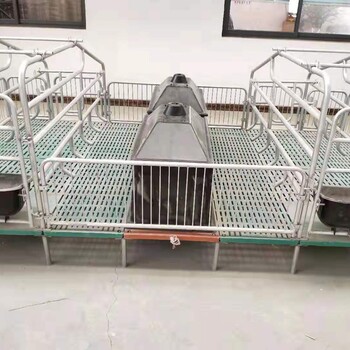 秦皇岛二手母猪产床-猪贝贝养殖设备