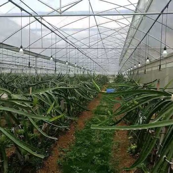 吉林花卉温室工程建设蔬菜种植温室造价