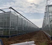 花卉养殖温室大棚施工工程玻璃温室建造