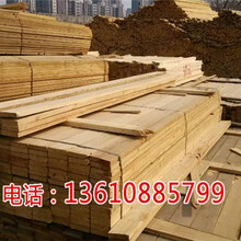 沈阳建筑木方